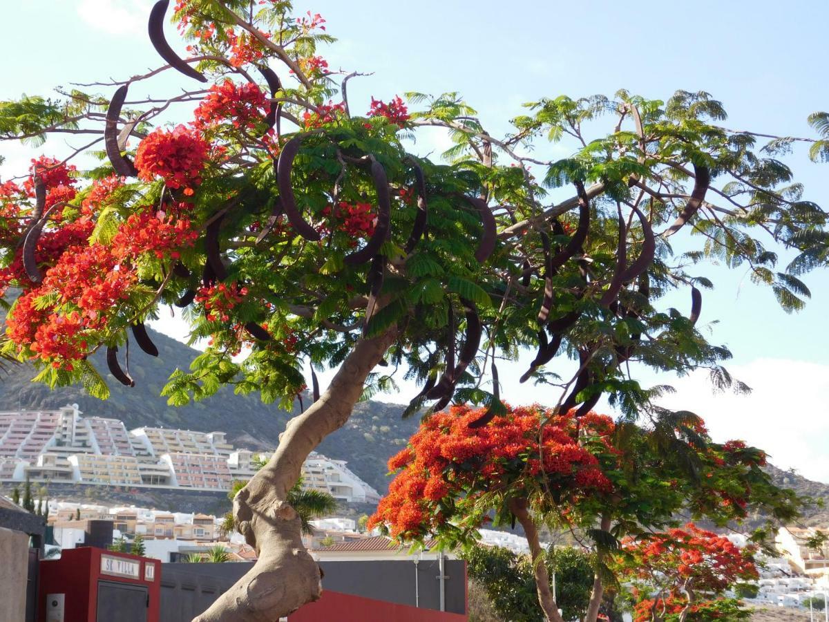 阿德耶Brisas Del Mar公寓 外观 照片
